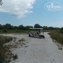 фото из отзыва ID 1208547