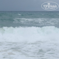 фото из отзыва ID 1202460