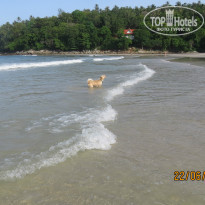 фото из отзыва ID 1202460