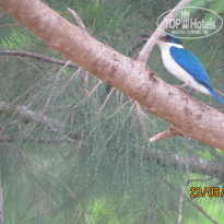 фото из отзыва ID 1202460