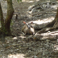 фото из отзыва ID 1208573