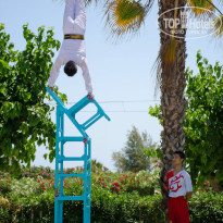 фото из отзыва ID 1208444