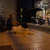 фото из отзыва ID 1208444