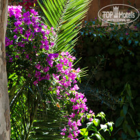 фото из отзыва ID 1208444