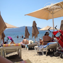 фото из отзыва ID 1208847