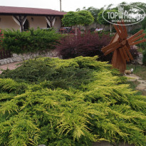 фото из отзыва ID 1208849