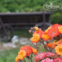 фото из отзыва ID 1208849