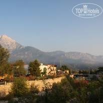 фото из отзыва ID 1208851