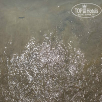 фото из отзыва ID 1209095