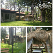 фото из отзыва ID 1202077