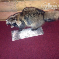 фото из отзыва ID 1209262