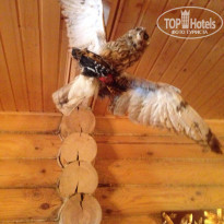 фото из отзыва ID 1209262