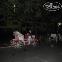 фото из отзыва ID 1209266