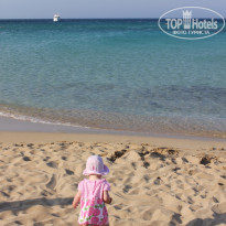 фото из отзыва ID 1209300