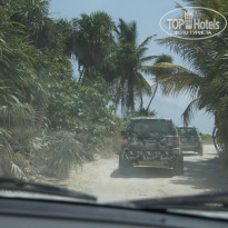 фото из отзыва ID 1209516