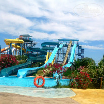 фото из отзыва ID 1209529