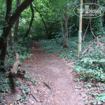 фото из отзыва ID 1209650