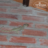 фото из отзыва ID 1209651