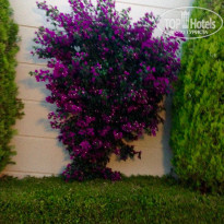 фото из отзыва ID 1209661