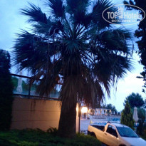 фото из отзыва ID 1209661