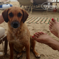 фото из отзыва ID 1209661