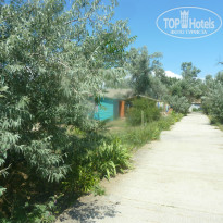 фото из отзыва ID 1209233