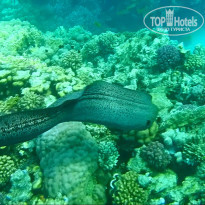 фото из отзыва ID 1203144