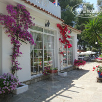 фото из отзыва ID 1204267