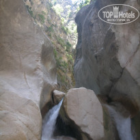 фото из отзыва ID 1207362