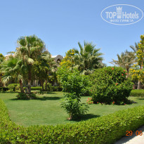 фото из отзыва ID 1208947