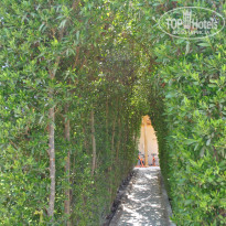 фото из отзыва ID 1208947