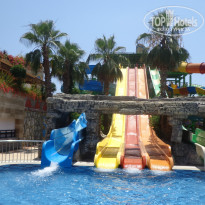 фото из отзыва ID 1209445