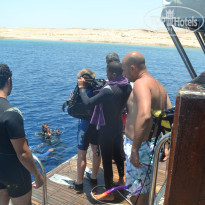 фото из отзыва ID 1201938