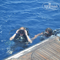 фото из отзыва ID 1201938