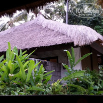 фото из отзыва ID 1209802