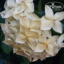 фото из отзыва ID 1209802