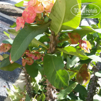 фото из отзыва ID 1209802