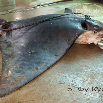 фото из отзыва ID 121374