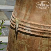 фото из отзыва ID 1210191