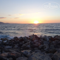 фото из отзыва ID 1210191