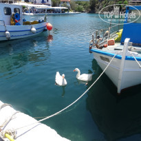 фото из отзыва ID 1210191