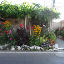 фото из отзыва ID 1210191