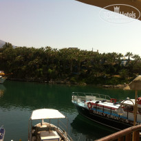 фото из отзыва ID 1210191