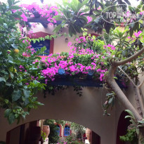 фото из отзыва ID 1210191