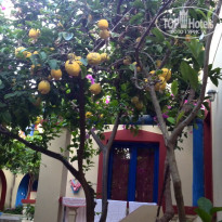 фото из отзыва ID 1210191