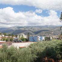 фото из отзыва ID 1210235