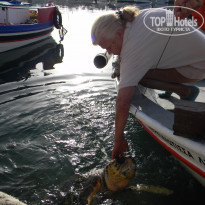 фото из отзыва ID 1210342