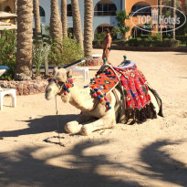 фото из отзыва ID 1210412