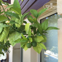 фото из отзыва ID 1210438