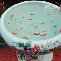 фото из отзыва ID 1210443